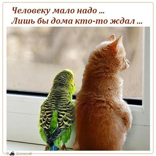 Светлана Кадырова