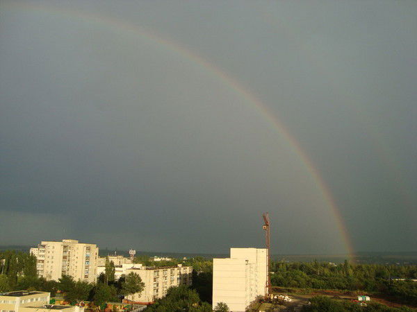 Юлия Курылёва