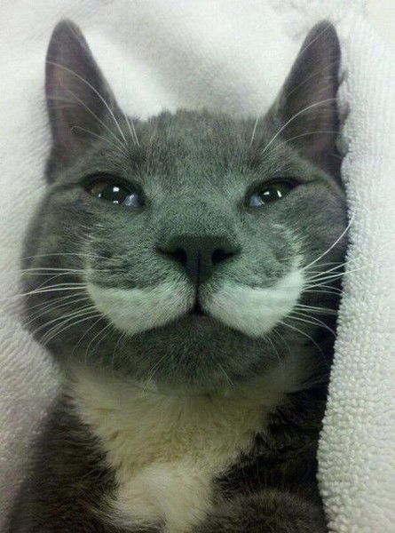 Тетяна Гринько