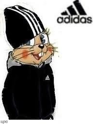 Adidas Adidas