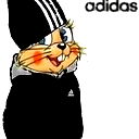 Adidas Adidas