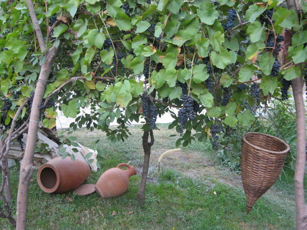 Арман Кабанбай