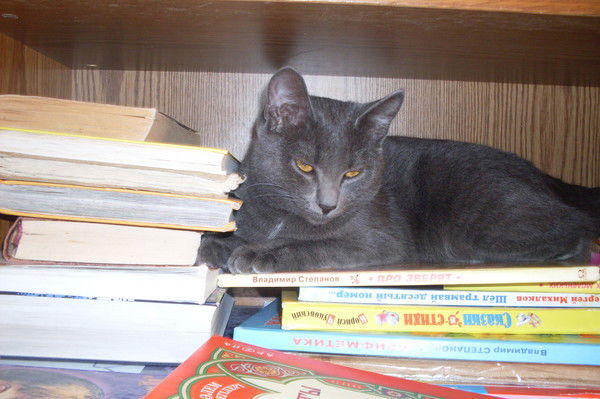 Карина Даутова