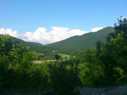 Александр Задорин