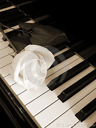 Нурсултан Мамадаминов