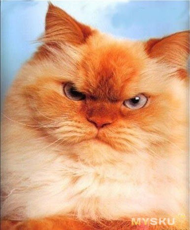 Юрий Кантур