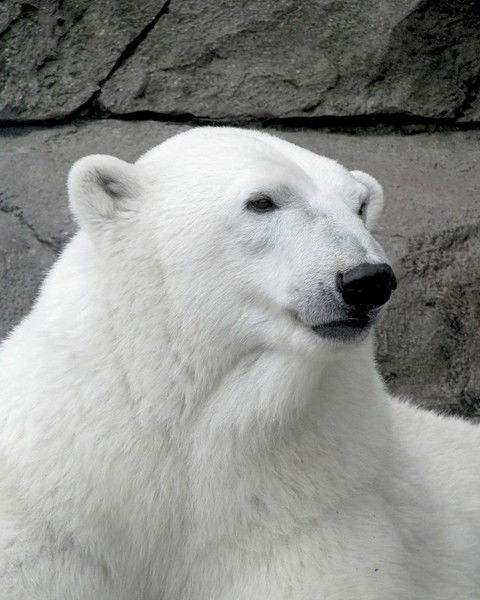 Юрий Иваненко