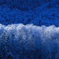 Михаил Соловей