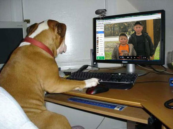 Валера Комаров