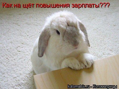 Анна Шибакова