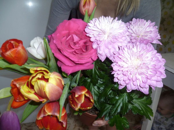 Елена Хохлова