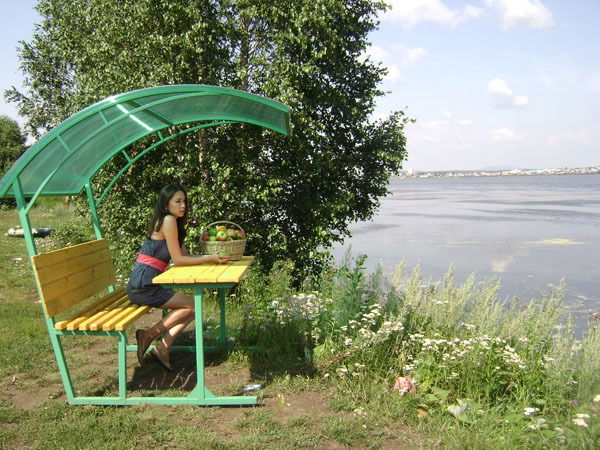 Навесы,козырьки, Беседки