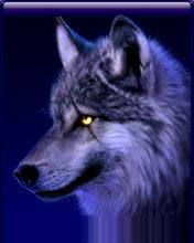 Егор Гожелев