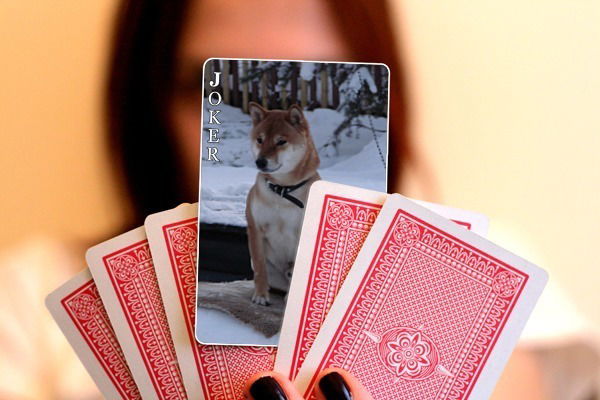 Лариса Яновская