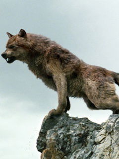 Викуся Андреева