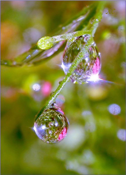 Наталья Анатольевна