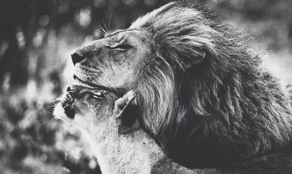 Ержан Давлетов