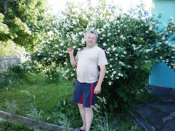 Александр Елисеенко