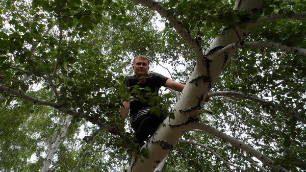 Владимир Штельвах