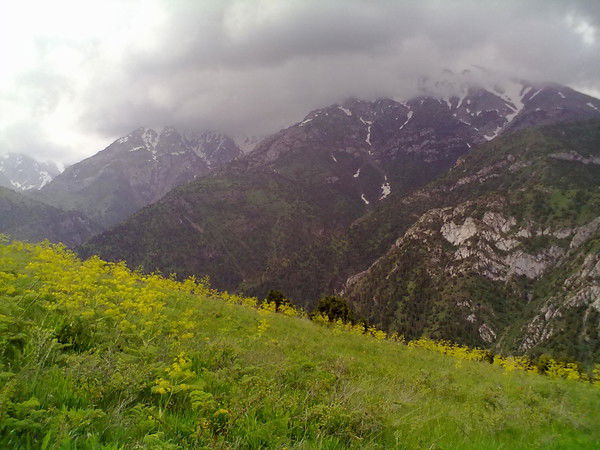 $$$  Bake  $$$ $$$   Bares  $$$