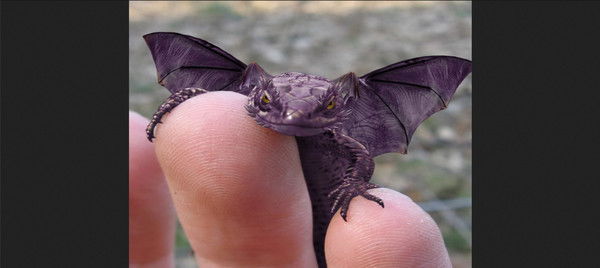 Влад Измайлов