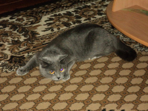 Евгения Кабакова