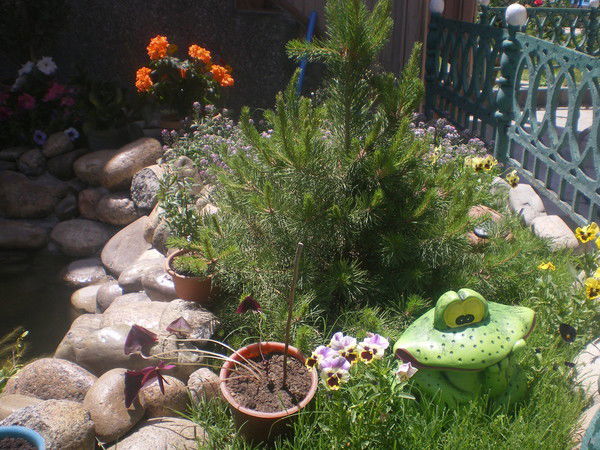 Ольга Дементьева