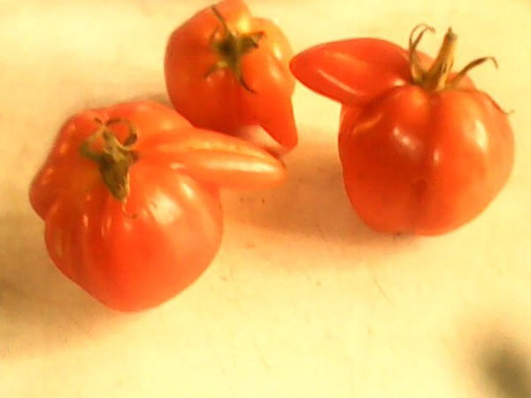 Василий Лишенков