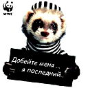 Дмитрий Лысый