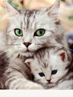 Людмила Демидова