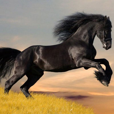 Ислам Бауташ