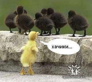 Дмитрий Энгельс