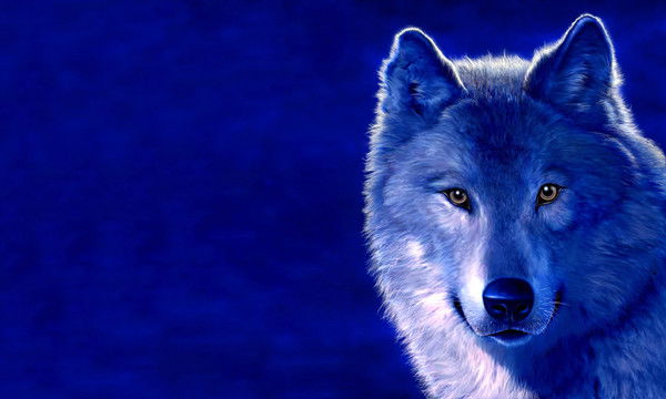 Виктор Гаврилов