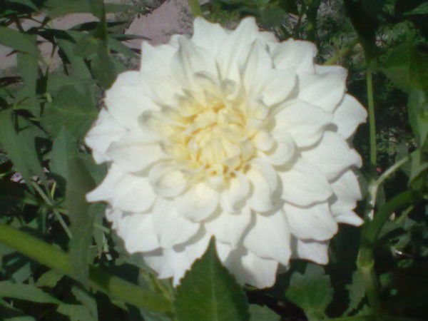 Мария Гавриленко