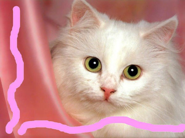 Наталья Фирсова