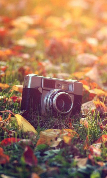 Всеволод Волощук