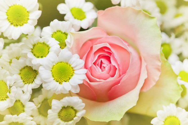 Екатерина Кузьминых