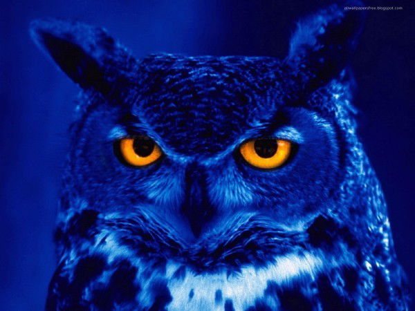 Виталя Пахнёв