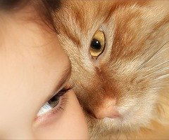 Люба Паламарчук