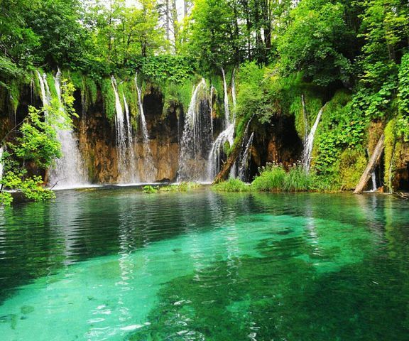 Ирина Исаева