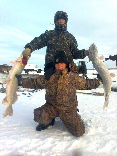 Дмитрий Зубов