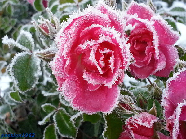 Татьяна Виноградова