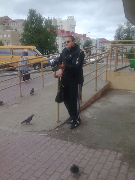 Владимир Галицкий