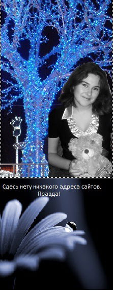 Таня Шмиляк