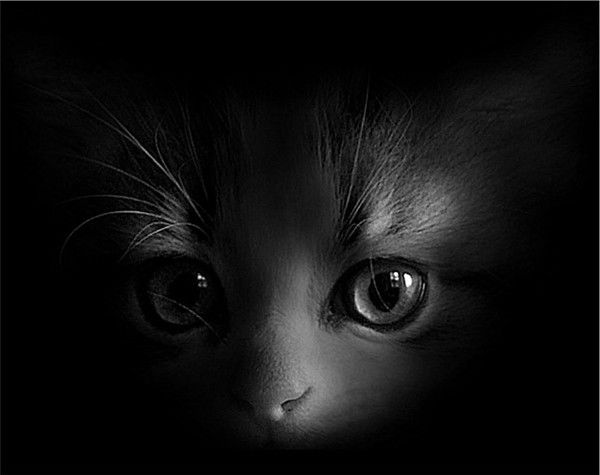 Сергей Казанов