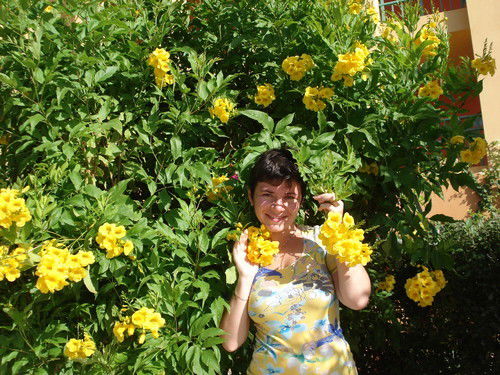 Неизвестно Неизвестно