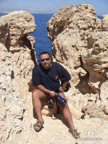 Андрей Жаркевич