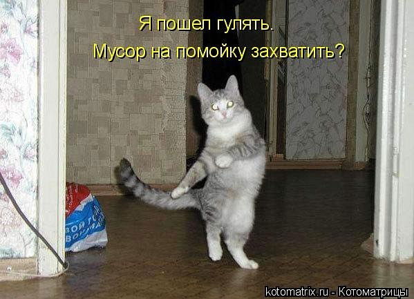 Константин Корольчук