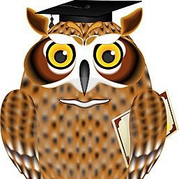 Учитель Начальных Классов Но