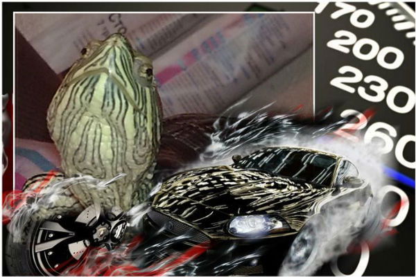 Алексей Чуранов